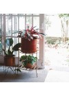 suporte-para-plantas-sabia-cobre-ambientado