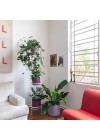 suporte-para-plantas-sabia-grande-branco-ambientado-vista