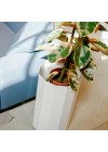 vaso-facetado-iris-branco