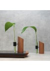 Vaso Leaf - Preto
