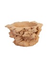 vaso mangue p