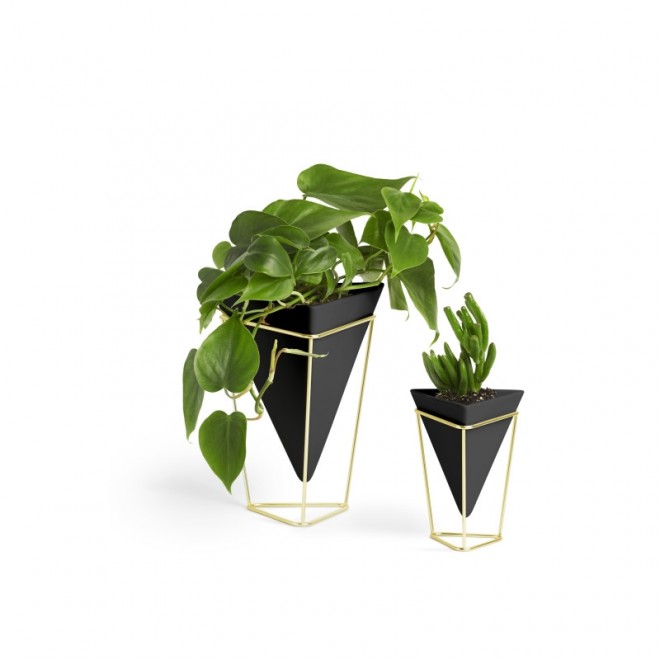 Dupla de Vasos de Mesa Trigg Preto