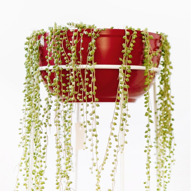 cachepot-aluminio-cuia-liso-cereja-ambientado