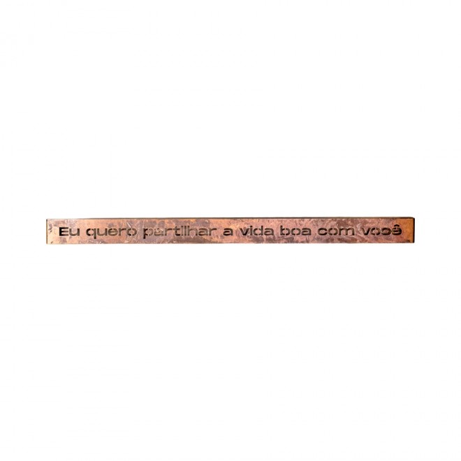 Placa Decorativa Trechos II 