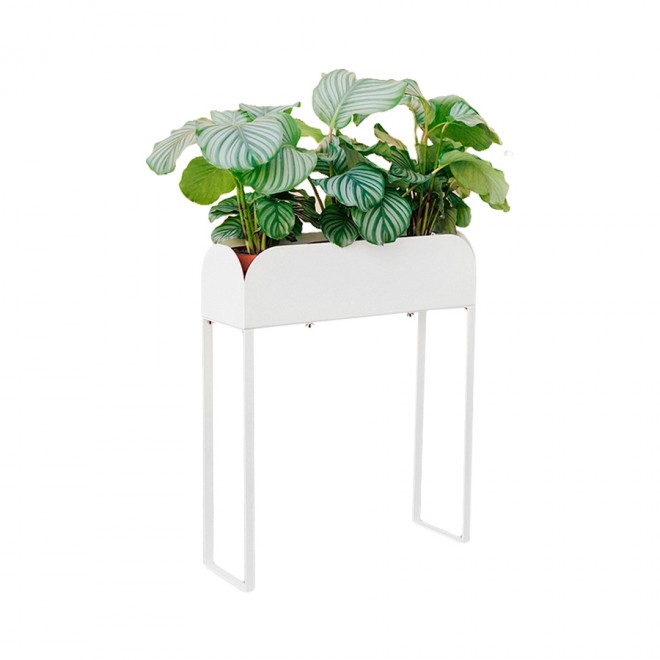 jardineira-curio-18-branco