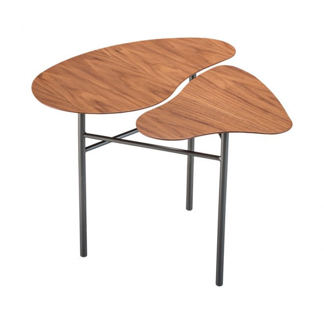 mesa-orgânica lateral-atins