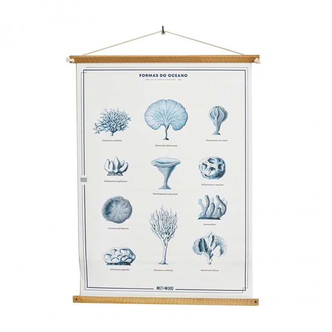 poster-corais 