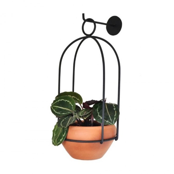 suporte-botanico-gaiola