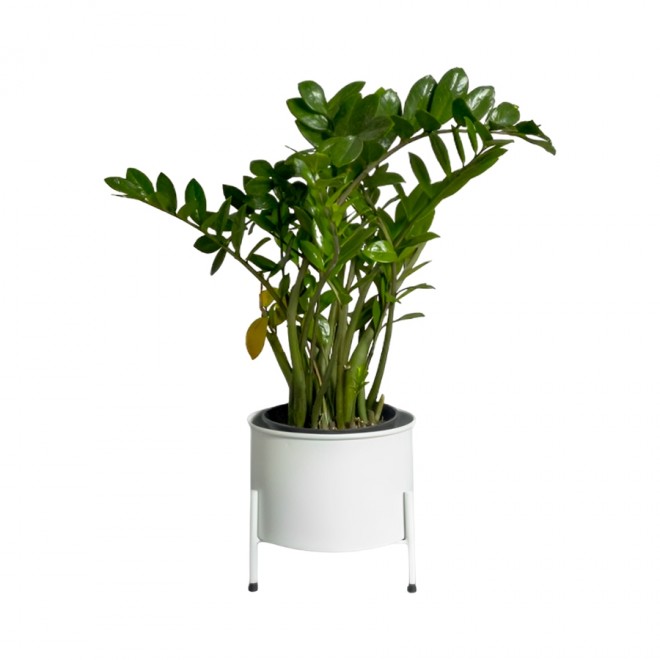 Suporte de Plantas com Vaso Slim Humaitá