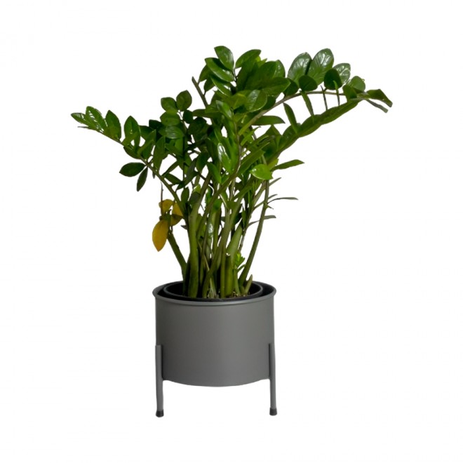 Suporte de Plantas com Vaso Slim Humaitá