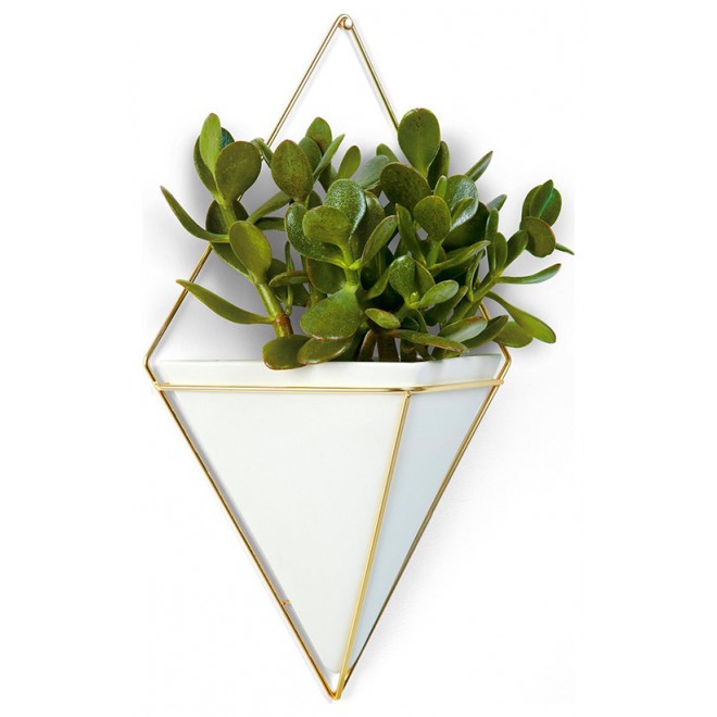 Vaso Trigg Grande Dourado