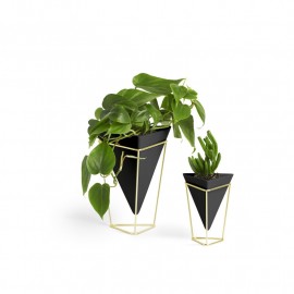 Dupla de Vasos de Mesa Trigg Preto