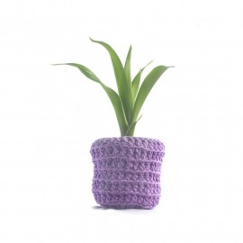 Cachepot Zoe
