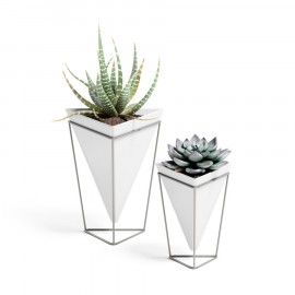 Dupla de Vasos de Mesa Trigg Branco e Prata