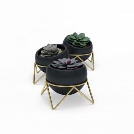 Trio de Vasos de Mesa Potsy - Preto
