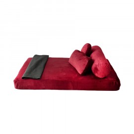 Mini Sofá-Cama Pet Rótulo