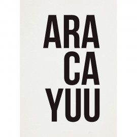 Pôster Aracayuu