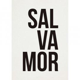Pôster Salvamor
