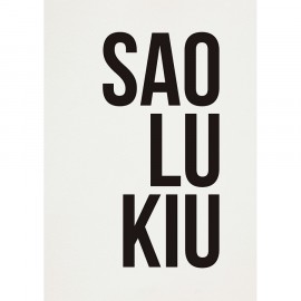 Pôster Saolukiu