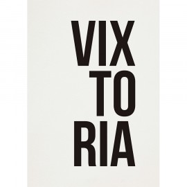 Pôster Vixtoria