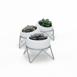 Trio de vasos de Mesa Potsy -  Branco
