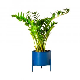 Suporte de Plantas com Vaso Slim Humaitá