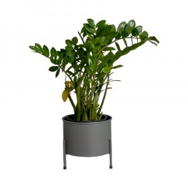 Suporte de Plantas com Vaso Slim Humaitá