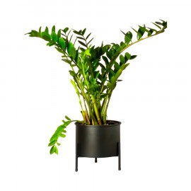 Suporte de Plantas com Vaso Slim Humaitá
