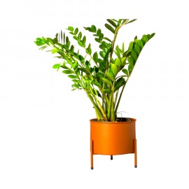 Suporte de Plantas com Vaso Slim Humaitá