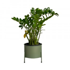 Suporte de Plantas com Vaso Slim Humaitá