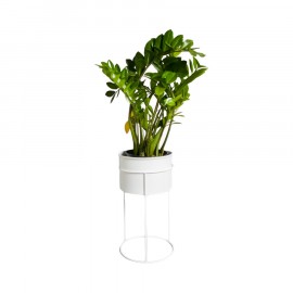 Suporte de Plantas com Vaso Humaitá