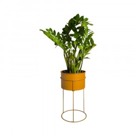 Suporte de Plantas com Vaso Humaitá