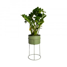 Suporte de Plantas com Vaso Humaitá