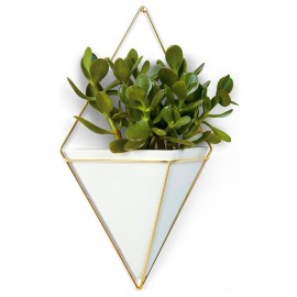Vaso Trigg Grande Dourado