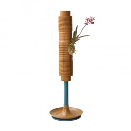 Vaso Carboneto 17 Epífita