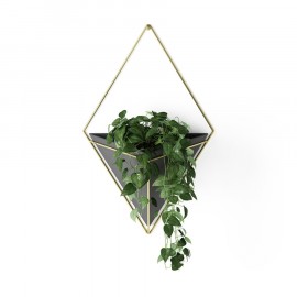 Vaso Trigg Grande Preto e Dourado